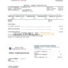 USA Maryland Georgia Water utility bill template in Word and PDF format (.doc and .pdf)