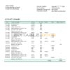 Mauritania BNP Paribas bank statement template in Word and PDF format