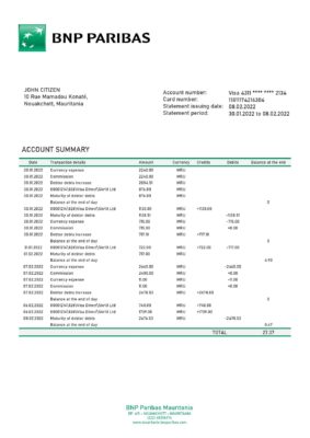 Mauritania BNP Paribas bank statement template in Word and PDF format