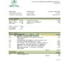 Mauritania Chinguitty bank statement Excel and PDF template