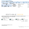 USA Texas Medina Electric utility bill template in Word and PDF format