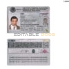 Mexico ID template in PSD format, fully editable