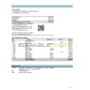 Mexico Inbursa bank statement Excel and PDF template, version 2