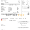 USA Michigan gas Utilities utility bill template in Word and PDF format