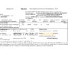 Belarus Minsk energo utility bill template in Word and PDF format, fully editable