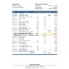 Moldova Banca Transilvania bank statement Excel and PDF template