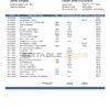 Moldova Banca Transilvania bank statement template in Word and PDF format