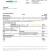 Moldova Mobiasbanca bank statement template in Word and PDF format