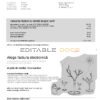 Moldova Orange utility bill template, fully editable in PSD format