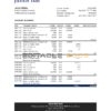 Monaco Julius Bar bank statement Excel and PDF template