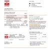 Monaco SMEG electricity utility bill template in Word and PDF format