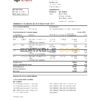 Monaco UBS Bank statement easy to fill template in Excel and PDF file format