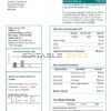 Mongolia Energy Corporation (MEC) electricity utility bill template in Word and PDF format