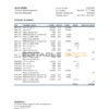 Montenegro NLB bank statement Excel and PDF template
