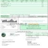 USA Tennessee Mountain Electric Cooperative, Inc. (MEC) utility bill template in Word and PDF format