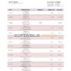 Mozambique Moza bank statement template in Word and PDF format