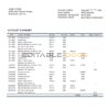 Namibia Bank Windhoek bank statement template in Word and PDF format