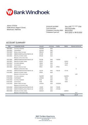 Namibia Bank Windhoek bank statement template in Word and PDF format