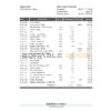 Nauru Eagle bank statement Excel and PDF template