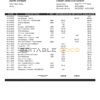 Nauru Eagle bank statement template in Word and PDF format