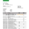 Nepal Nabil Bank bank statement template in Word and PDF format