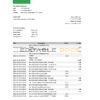 Nepal Nabil bank statement Excel and PDF template