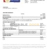 Nepal Rastriya Banijya Bank bank statement template in Word and PDF format