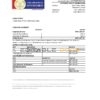Nepal Rastriya Banijya bank statement Excel and PDF template