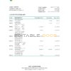 Netherlands ABN AMRO bank statement Excel and PDF template
