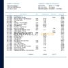 Netherlands NIBC Bank statement easy to fill template in Word and PDF format