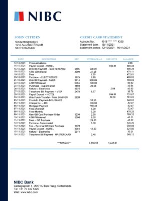 Netherlands NIBC Bank statement easy to fill template in Word and PDF format