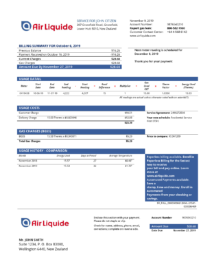 New Zealand Air Liquide gas utility bill template in Word and PDF format