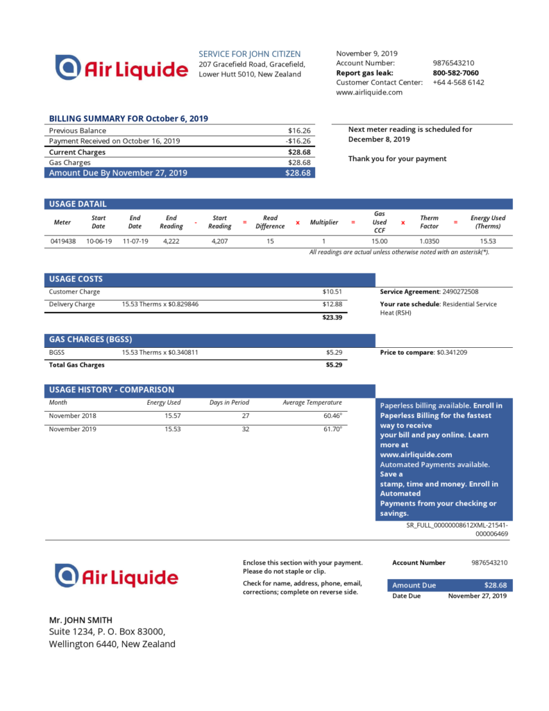 New Zealand Air Liquide gas utility bill template in Word and PDF format