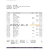New Zealand Heartland bank statement Excel and PDF template