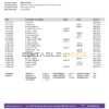New Zealand Heartland bank statement template in Word and PDF format