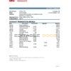 Nicaragua BAC Credomatic bank statement Excel and PDF template