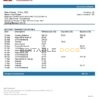 Nicaragua BAC Credomatic bank statement template in Word and PDF format