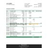 Niger Bank of Africa bank statement Excel and PDF template