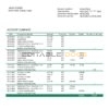 Niger Bank of Africa bank statement template in Word and PDF format