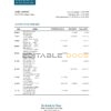 Niger Ecobank bank statement Excel and PDF template