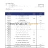 Nigeria Access bank statement template in Word and PDF format