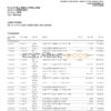Nigeria Fidelity bank statement, Word and PDF template