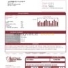 USA North Dakota South Central Regional Water District utility bill template in Word and PDF format