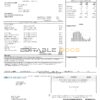 USA Illinois North Shore Gas utility bill template in Word and PDF format