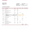 Norway BN bank statement template in Word and PDF format