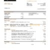 Oman Sohar International bank statement template in Word and PDF format