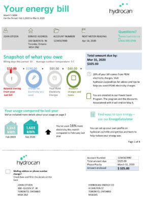 USA Ontario Hydrocan electricity utility bill template in Word and PDF format