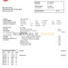 Venezuela PDVSA Gas utility bill template in Word and PDF format