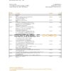 Pakistan Al Baraka bank statement Excel and PDF template