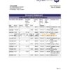 Pakistan Faysal Bank statement easy to fill template in .xls and .pdf file format